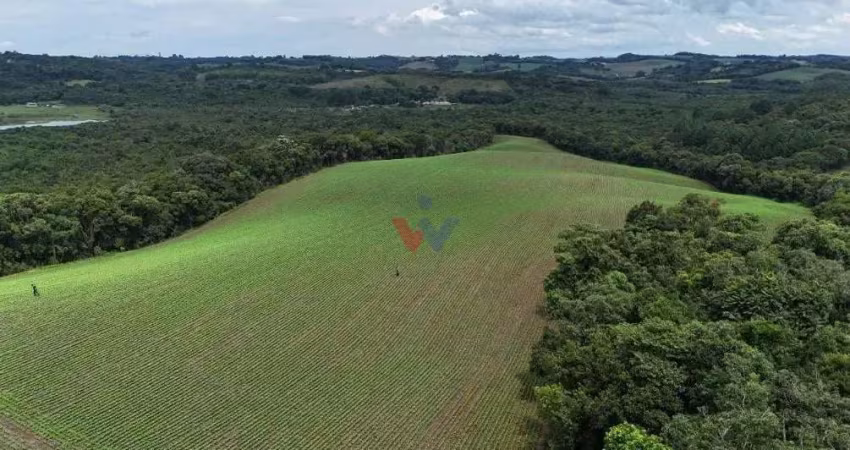 Fazenda / sítio para venda em fazenda velha de 242000.00m² com 1 quarto
