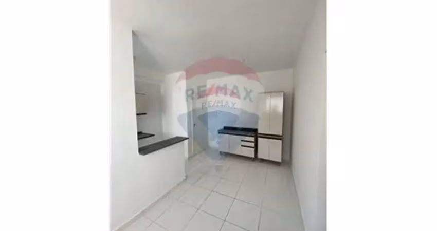 Apartamento para alugar em jardim das palmeiras de 51.44m² com 2 quartos e 1 garagem