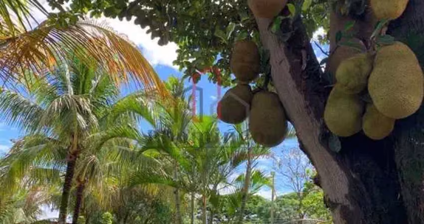 Chácara para venda em chácaras de recreio - 2000 de 280.00m² com 3 quartos, 1 suite e 10 garagens