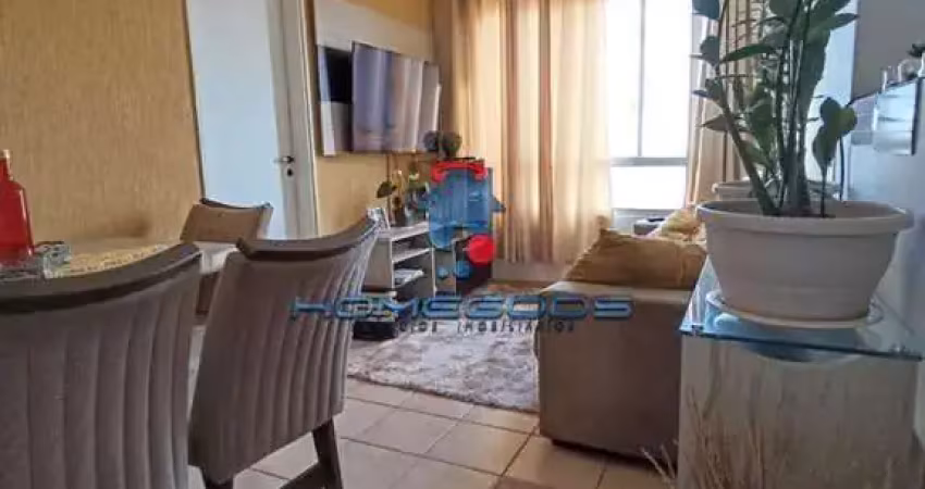 Apartamento para venda em jardim aurélia de 56.00m² com 2 quartos e 1 garagem