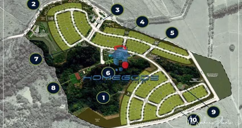 Terreno à venda na Avenida Isaura Roque Quércia, Loteamento Residencial Pedra Alta (Sousas), Campinas