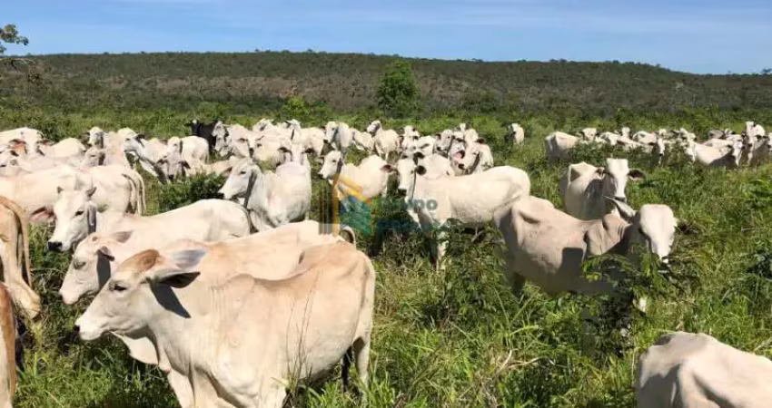 Fazenda / sítio para venda em lassance de 4730000.00m² com 4 quartos e 6 garagens