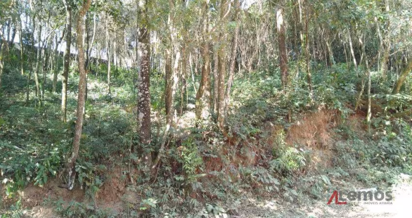 Terreno à venda de 339 m² no Jardim Paulista em Atibaia/SP - TE1436