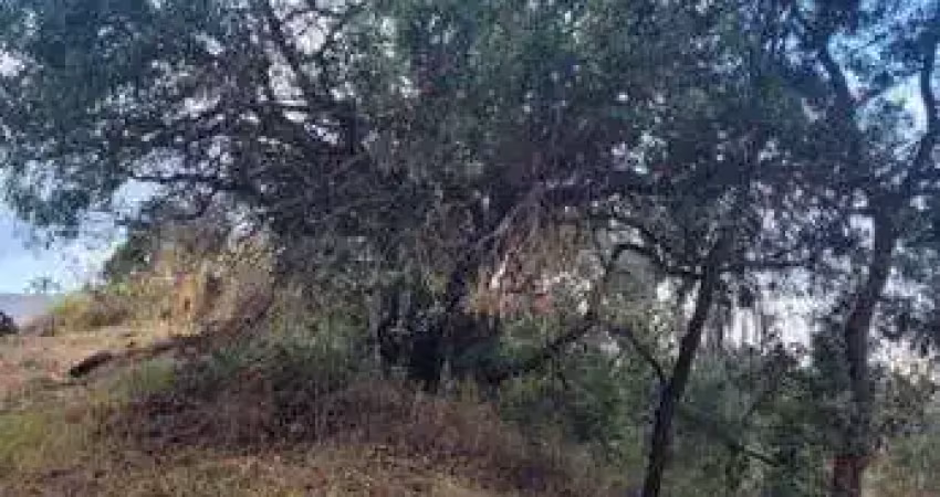 Terreno à venda, 1372m² no estância san remo - atibaia/sp