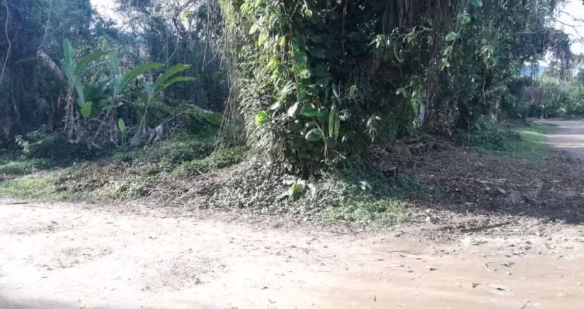 Terreno em itamambuca à 100m da praia! 540m² cercado de muito verde e tranquilidade na praia mais famosa de ubatuba!
