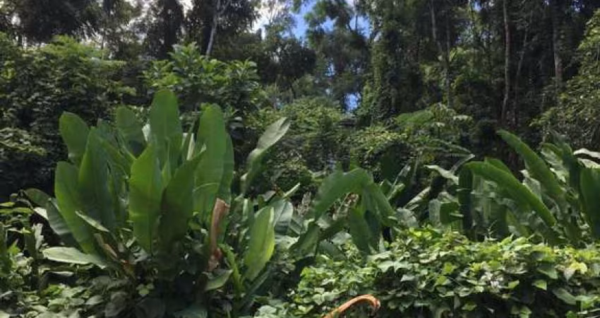 Terreno no condomínio de Itamambuca.