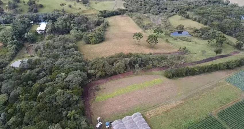 Terreno à venda, 19271 m² por R$ 378.990,00 - Avencal - São José dos Pinhais/PR