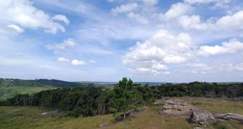 Chácara à venda, 20000 m² por R$ 989.900,00 - São Luiz do Purunã - Balsa Nova/PR