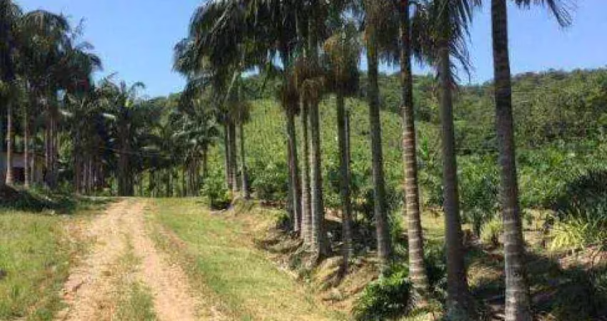 Fazenda com à venda, 4822600 m² por r$ 7.900.000 - área rural - morretes/pr