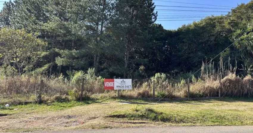 Terreno comercial à venda na Rua João Volpe, 1261, Butiatuvinha, Curitiba