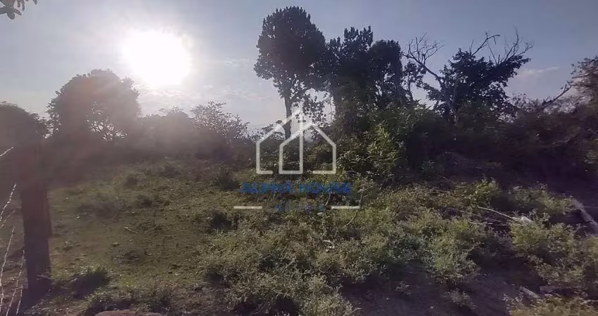 Terreno à venda, vila são benedito, pindamonhangaba, sp