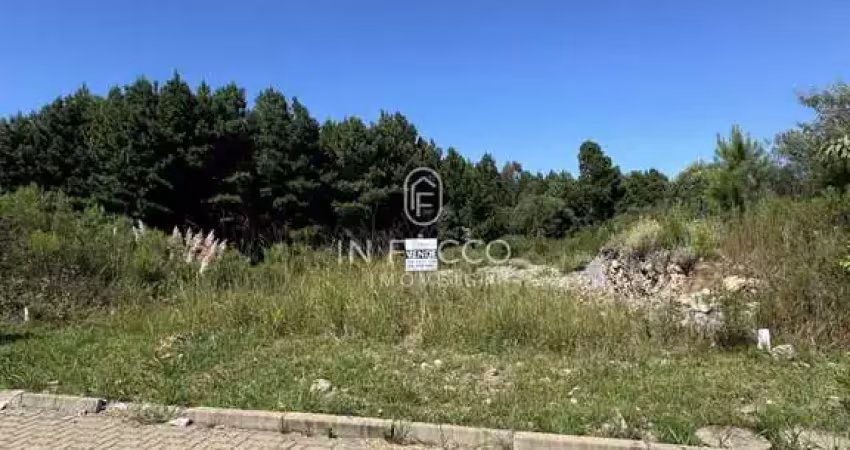 Terreno à venda na Alfândega, Garibaldi 