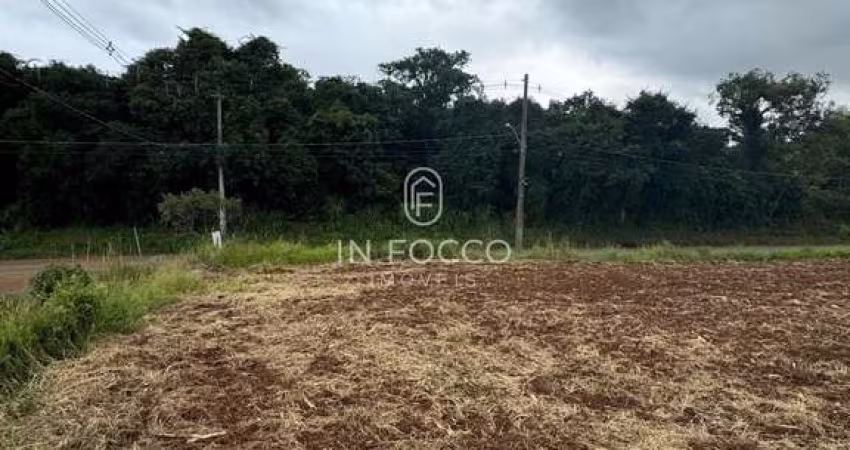 Terreno à venda em Borghetto, Garibaldi 