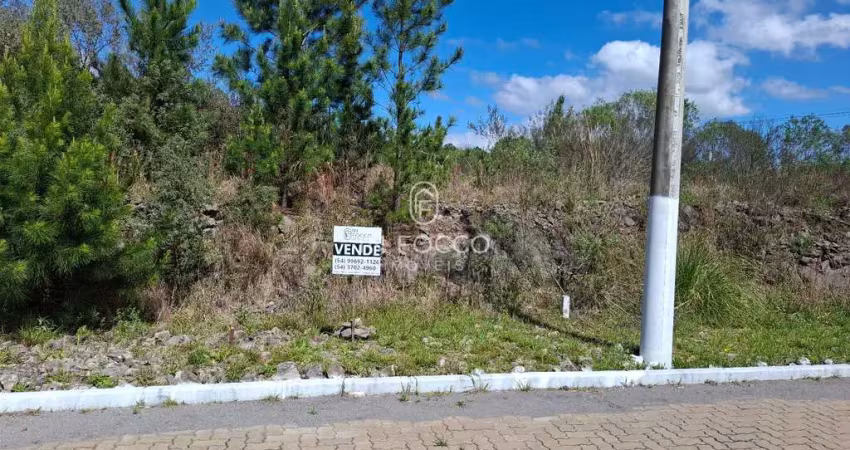 Terreno à venda na Alfândega, Garibaldi 