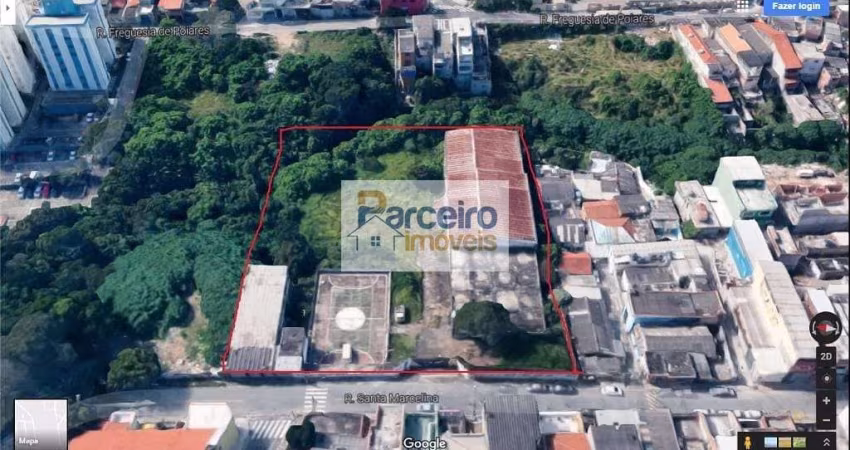 Terreno residencial à venda, Vila Carmosina, São Paulo.