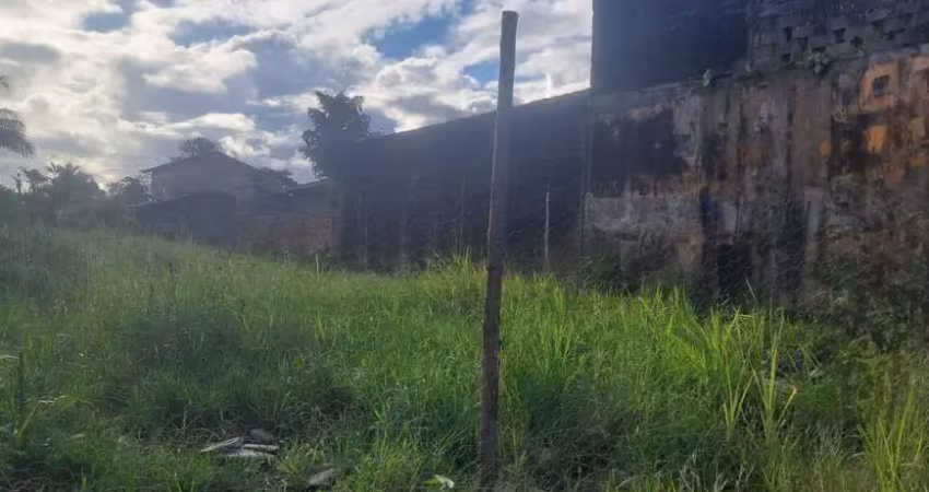 Terreno à venda na Avenida Flacides Ferreira, 796, Luíza Mar Mirim, Itanhaém