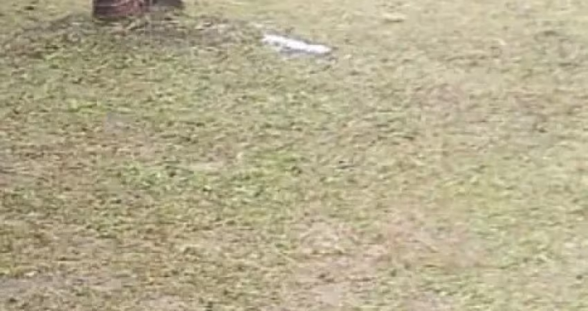 Terreno à venda na rua 5, 00, Maiobão, Paço do Lumiar