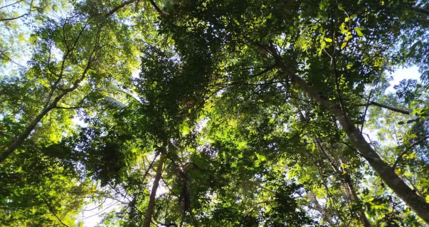 Vende-se terreno com escritura em imbassaí – 3.000 m²!