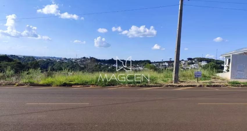 Terreno com 16,49 m de frente  - TE441
