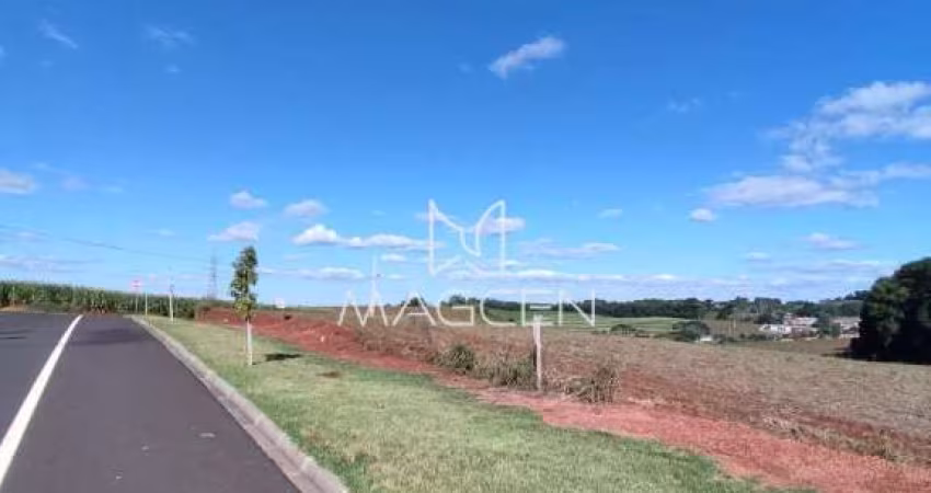 Loteamento Arcides Tumelero Q 2230 L 09 - TE407