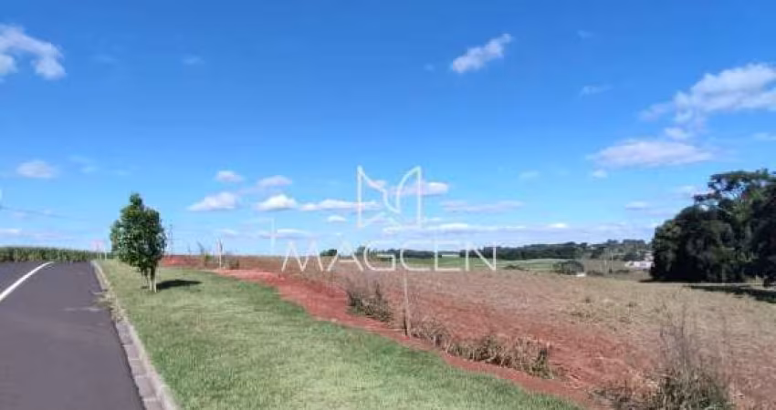 Loteamento Arcides Tumelero Q 2230 L 08 - TE406