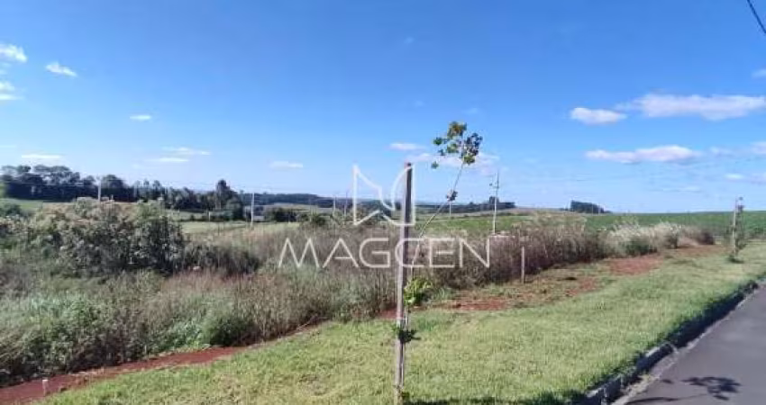 Loteamento Arcides Tumelero Q 2226 L 18 - TE399