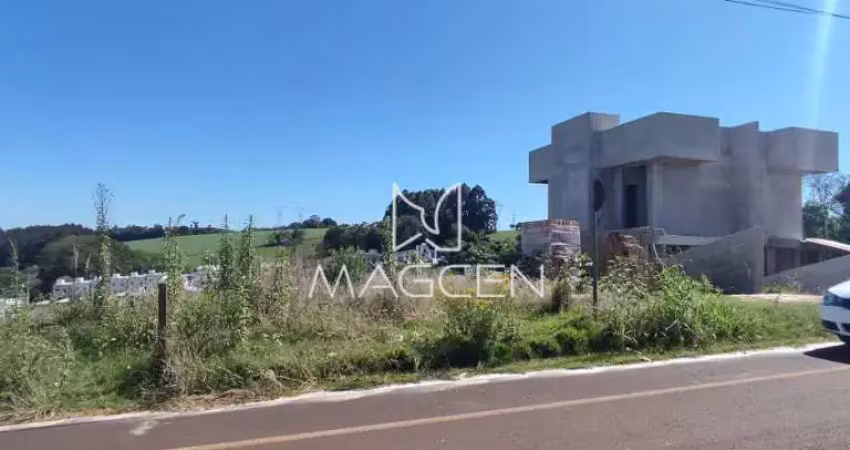 Terreno no loteamento vila matilde q 1781 l 07 - te174