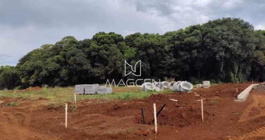 Terreno de esquina-Jardim Matilde  - TE489