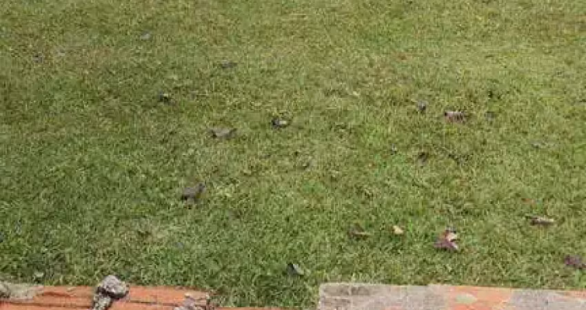 Terreno em condomínio fechado à venda na Rua Vidal de Araújo, Jardim Portal da Primavera, Sorocaba
