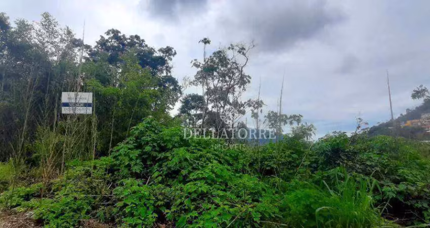 Terreno à venda, 1835 m² por r$ 89.000,00 - vila muqui - teresópolis/rj