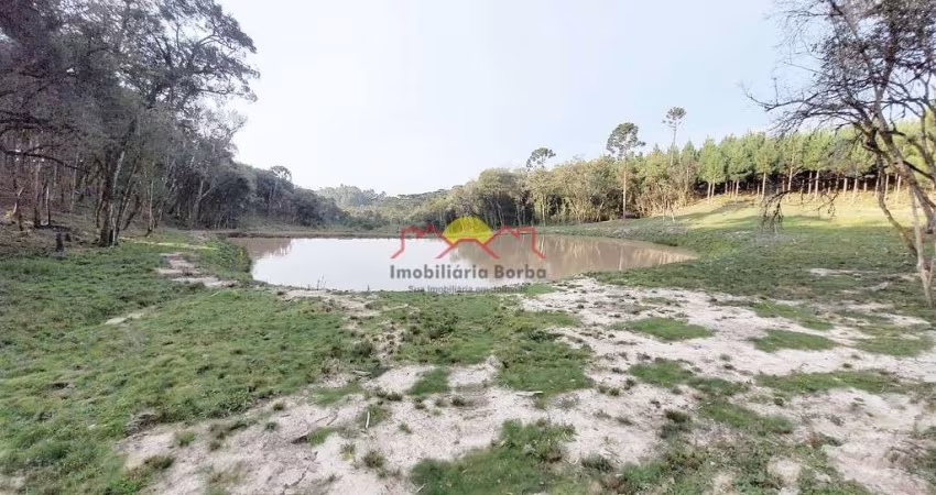 Chácara com 10.000,00 m² em Campo Alegre