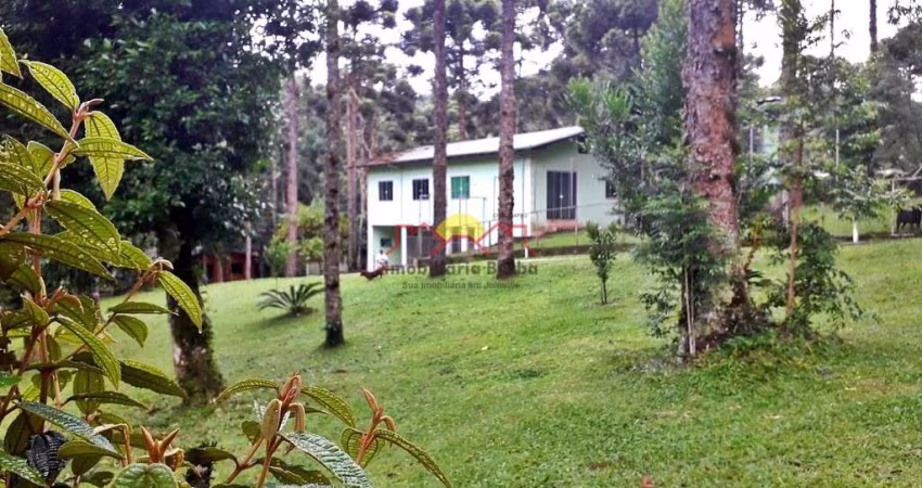 Chácara em Campo Alegre com 18 Mil m²