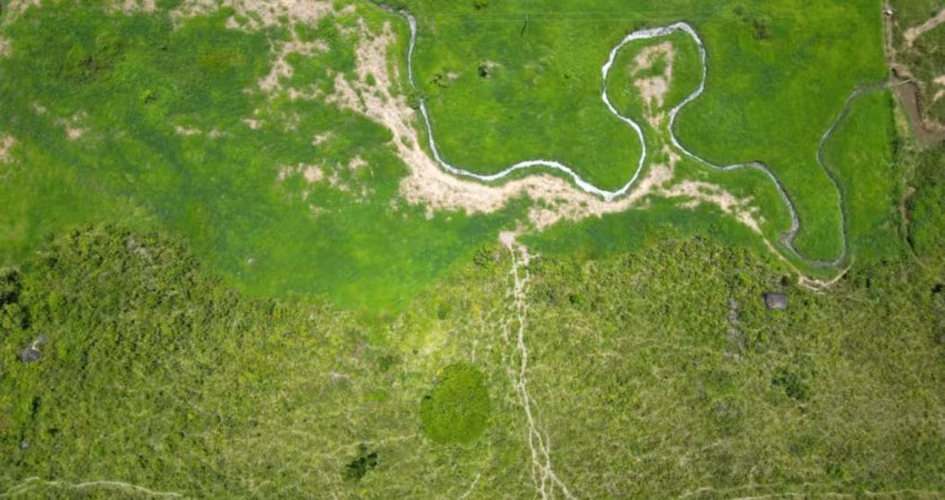 Fazenda com 32 Hectares em União dos Palmares