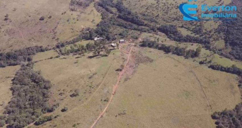 Fazenda com 36.64 Alqueires (177.34 hectares) - Perdizes - MG
