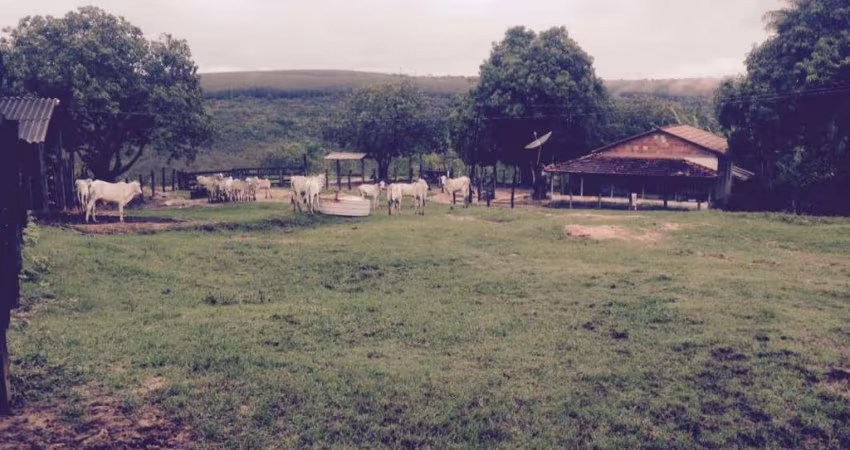 Excelente fazenda com carvoaria em Presidente Olegário-MG contendo  310 hectares  ou seja, 64,04 alqueires;