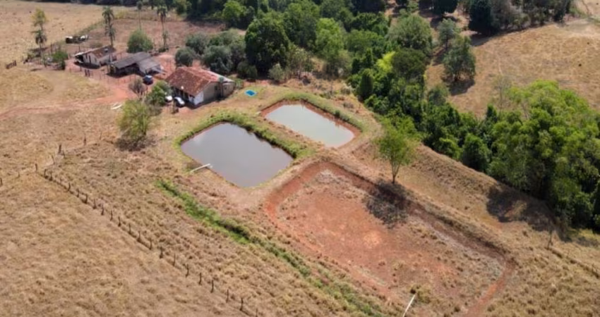 Fazenda Rica em água com várias nascentes em Orizona - GO com 137,1703 hectares, ou seja, 28,34 alqueires