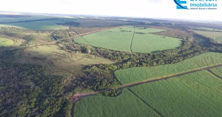 Fazenda com 185,95 alqueires, para Lavoura com córrego em Uberlândia;