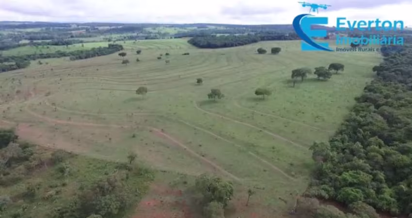 Fazenda em uberlândia - mg com 31,84 alqueires ou 154,13 hectares;