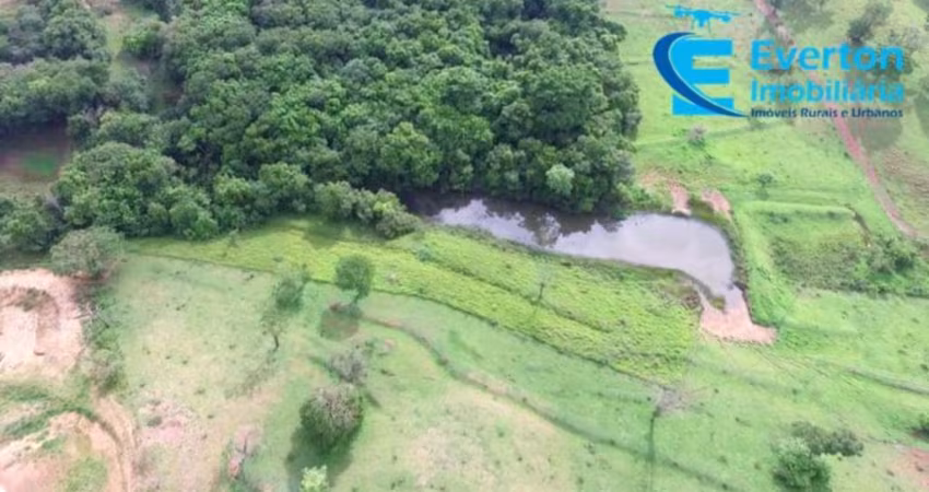 Fazenda em Uberlândia - MG com 80,58 hectares ou seja 16,65 alqueires;