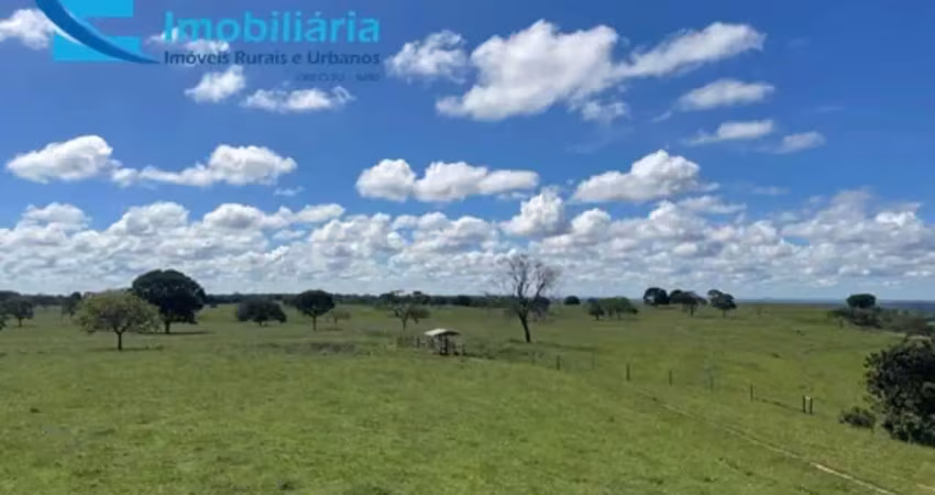 Fazenda de pecuária de corte em são gonçalo do abaeté-mg: 417,48 hectares de oportunidade única!