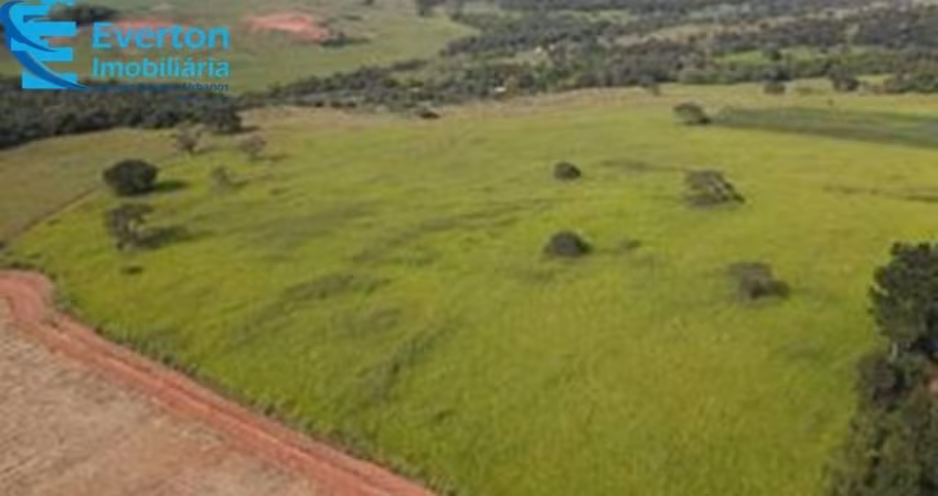 Fazenda de 16,91 alqueires em Uberlândia, Tapuirama: Estrutura completa para sua atividade rural!