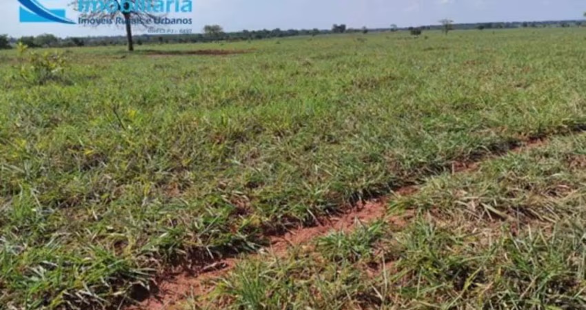 Fazenda à venda: oportunidade única em aparecida do rio doce-go, 2.803 hectares de dupla aptidão!