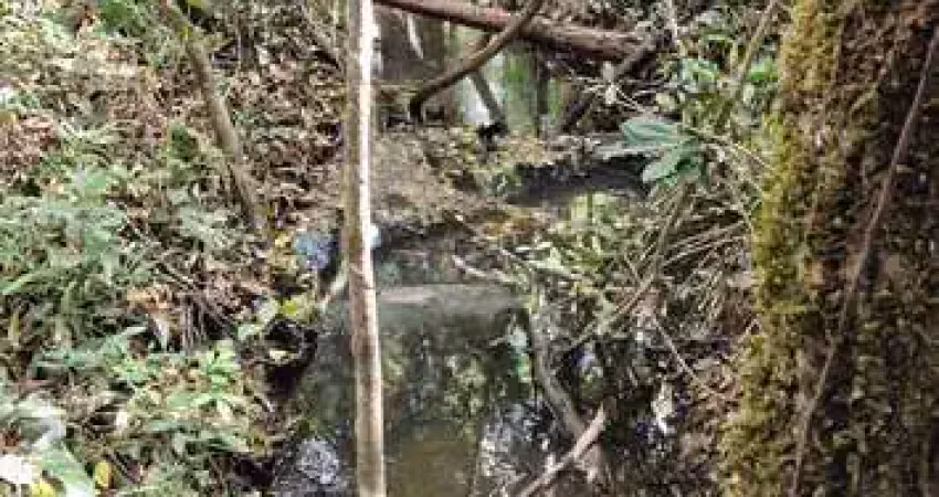 Sítio com 24.57 hectares em uberlândia mg para moradia ou exploração de pequenas atividades rurais