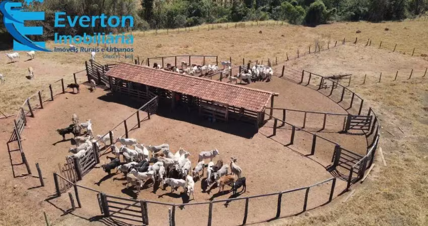 Fazenda de 80 alqueires em araguari-mg: pecuária de corte, sede aconchegante, curral completo e muito mais! venha conhecer!