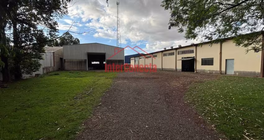 Pavilhão/Galpão para alugar no bairro Albino Nicolau Schmidt - Cascavel/PR