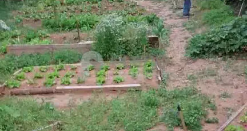 Terreno à venda na Rua Maria Lopes, 580, Vila Rosa, São Paulo