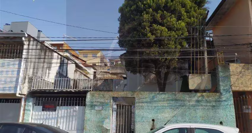 Terreno à venda em Vila Nova Cachoeirinha, São Paulo 