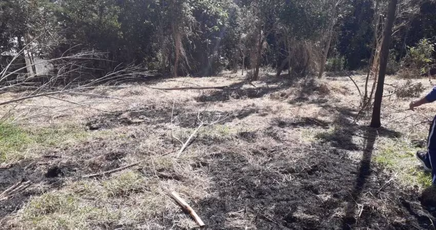 Terreno à venda na Rua do Jatobá, São Dimas, Colombo