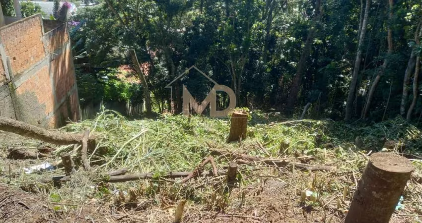 Terreno para Venda em Teresópolis, Iucas