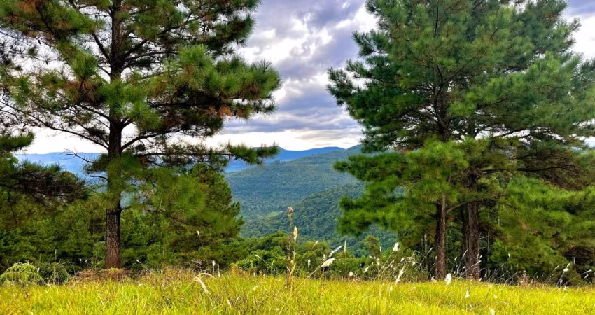 SÍTIO 1 HECTARE NA SERRA GAÚCHA – VISTA PANORÂMICA! perto de GRAMADO RS